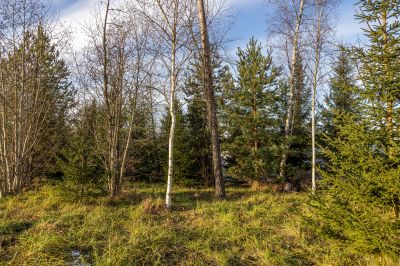 photo 692572b467ca2_thumb.jpg