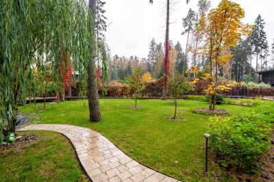 photo 692da32fc7fe8_thumb.jpg