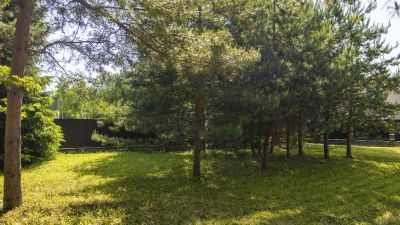 photo 692ed4ead5a0a_thumb.jpg