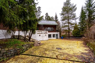 photo 693037cb344a8_thumb.jpg