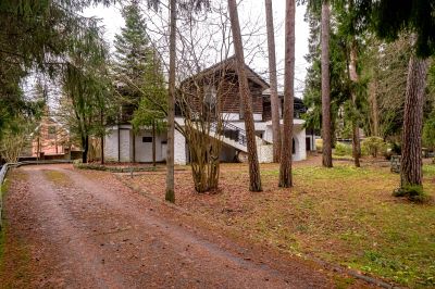 photo 693037e8dbd0a_thumb.jpg