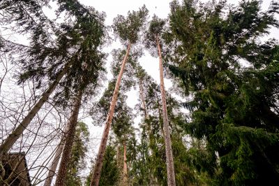 photo 693037eb4c932_thumb.jpg