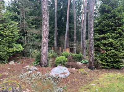 photo 69341df346de2_thumb.jpg