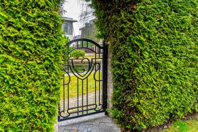 photo 6936900f7890f_thumb.jpg