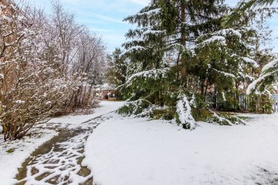 photo 6937fefd3fc26_thumb.jpg