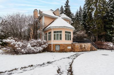 photo 6937ff02f0cba_thumb.jpg