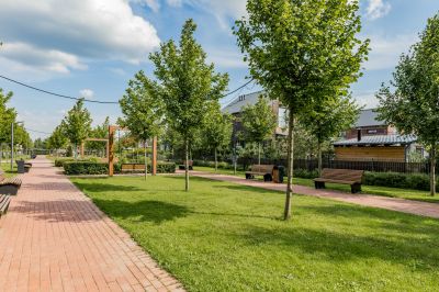 photo 693980f3c9573_thumb.jpg