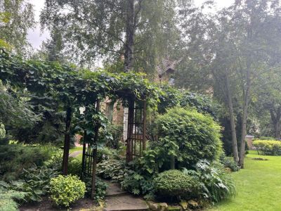 photo 693aaee537241_thumb.jpg