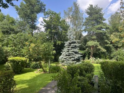 photo 693aaee6781ad_thumb.jpg