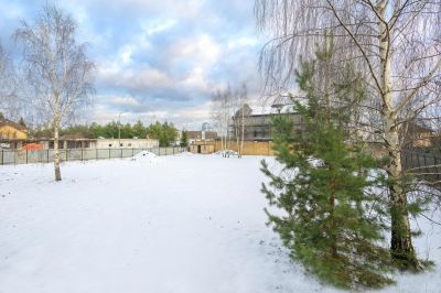 photo 693bd96105754_thumb.jpg