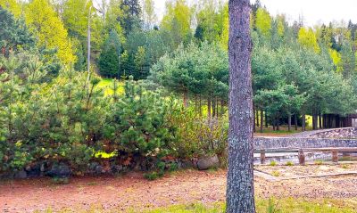 photo 6943d89b9d62a_thumb.jpg