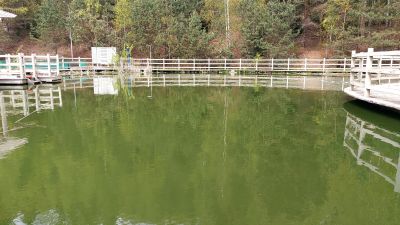 photo 6943d89dd8fd6_thumb.jpg