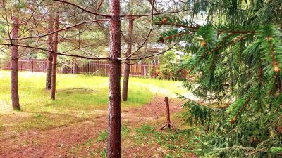 photo 6943d93088439_thumb.jpg