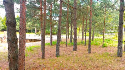 photo 6943d931b572f_thumb.jpg