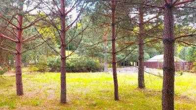 photo 6943d93567a3b_thumb.jpg