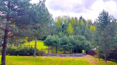 photo 6943d939e4585_thumb.jpg