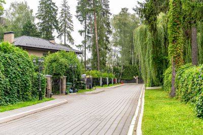 photo 12642_689361a0a9de6_thumb.jpg