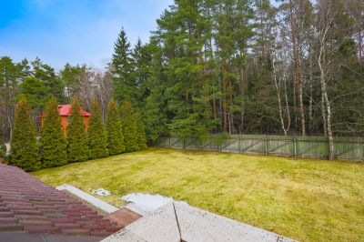 photo 12646_645295797e802_thumb.jpg