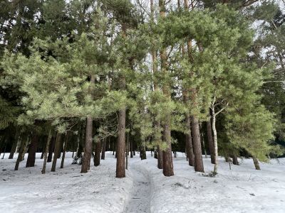 photo 69aff7cf6a373_thumb.jpg