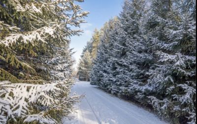 photo 694e5c026b55f_thumb.jpg