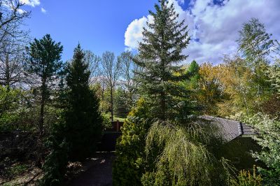 photo 69ce770b61873_thumb.jpg