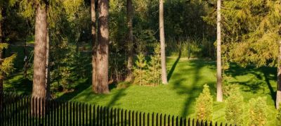 photo 6975ec0c09b2d_thumb.jpg