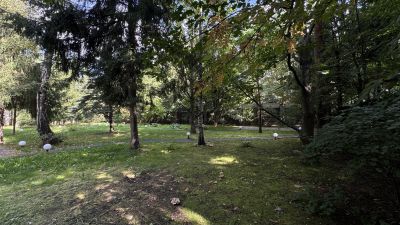 photo 6967991dad503_thumb.jpg