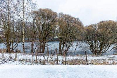 photo 6968c1860d14a_thumb.jpg