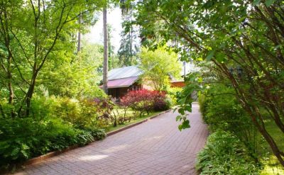 photo 6968e68bd4dbd_thumb.jpg