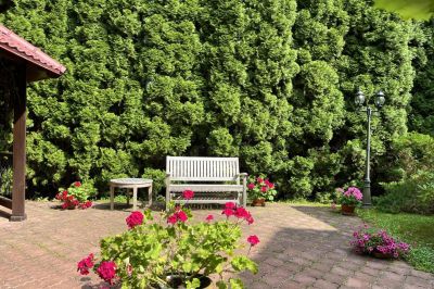 photo 696a485589a0d_thumb.jpg