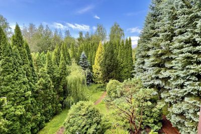 photo 696a48634d3fc_thumb.jpg