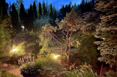 photo 696a4870b1825_thumb.jpg