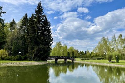 photo 696a48725634b_thumb.jpg