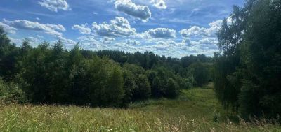 photo 696e3552a5f38_thumb.jpg