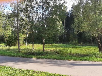 photo 696f4893bef39_thumb.jpg