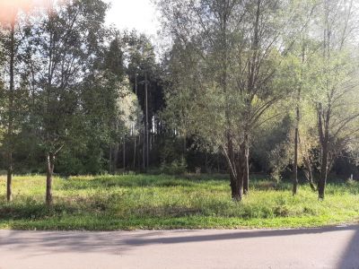 photo 696f489417910_thumb.jpg