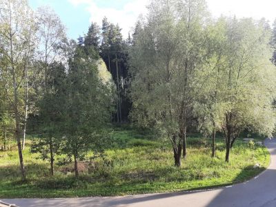 photo 696f489460960_thumb.jpg