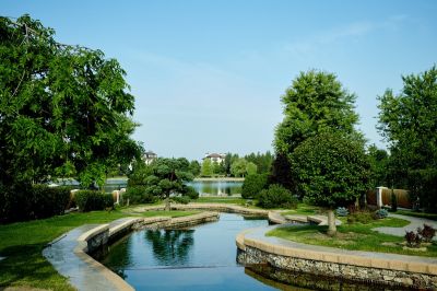 photo 696f54cf999ed_thumb.jpg