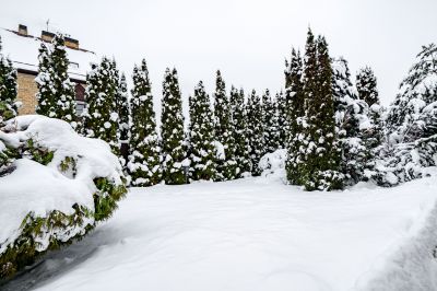 photo 6977230e8ea69_thumb.jpg