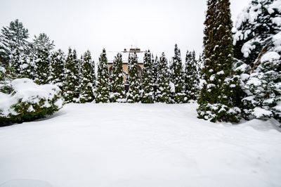 photo 69772310d94a5_thumb.jpg