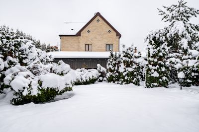 photo 69772317b8520_thumb.jpg