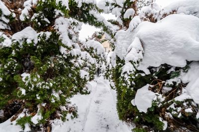 photo 6977231c3472b_thumb.jpg