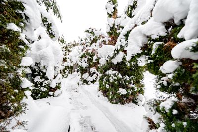 photo 6977231e6a6d8_thumb.jpg