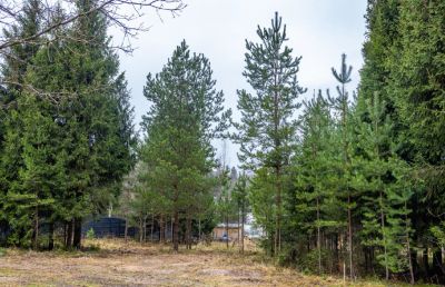 photo 6970cbe3ad19f_thumb.jpg