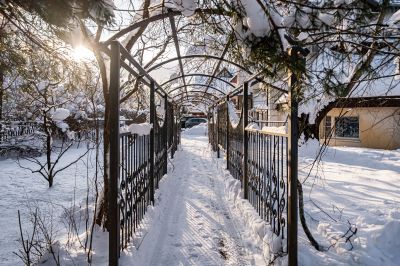 photo 697a18aee9c75_thumb.jpg