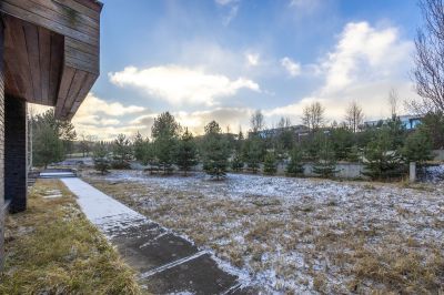 photo 697b59363f226_thumb.jpg