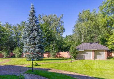 photo 697b6cab2ae9c_thumb.jpg