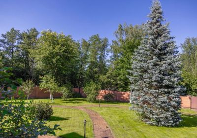 photo 697b6cae1748f_thumb.jpg