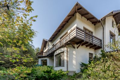 photo 697c8f7e669a0_thumb.jpg