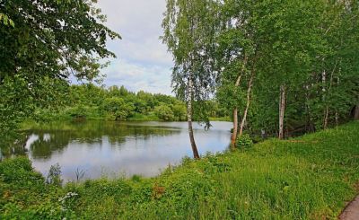 photo 69cbcff4be780_thumb.jpg